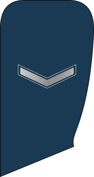 Файл:01.Libyan Air Force-PFC.svg