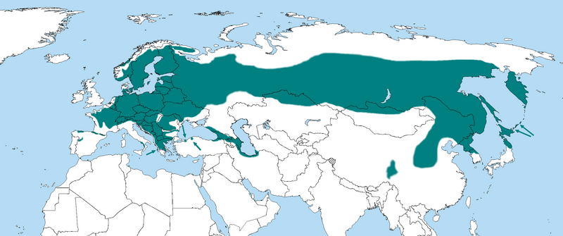 Файл:Dryocopus martius distr.PNG