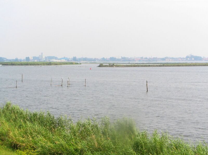 Файл:Wolderwijd.JPG