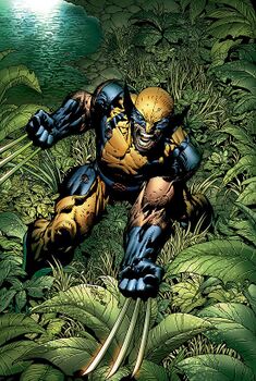 Росомаха на обложке комикса New Avengers #5 (апрель 2005) Художник — Дэвид Финч.