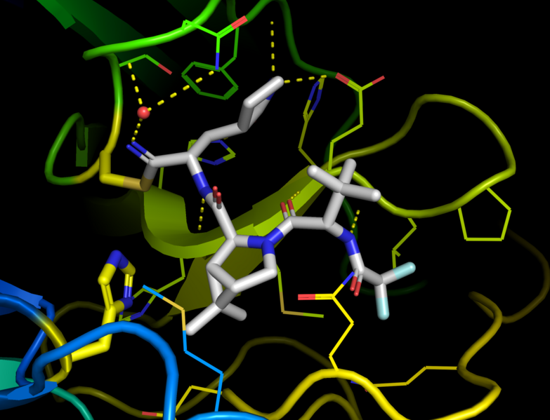 Файл:Xray crystal structure PDB-7si9.png