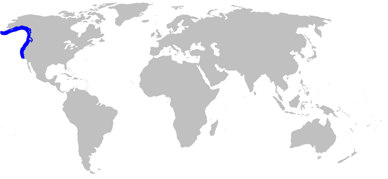 Файл:Raja binoculata rangemap.png