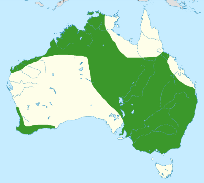 Файл:Elanus scriptus range map.png