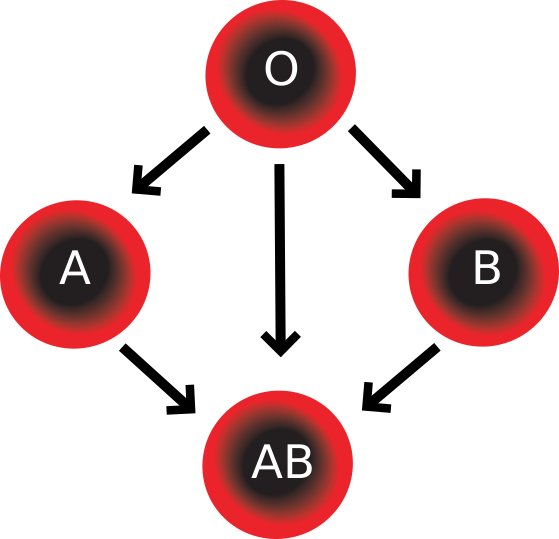 Файл:Blood Compatibility.svg