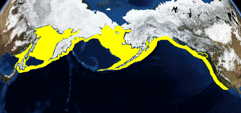 Файл:Pacific halibut range 2.PNG