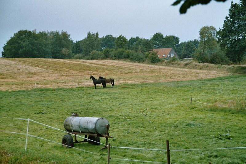 Файл:Bebensee-paddock.jpg