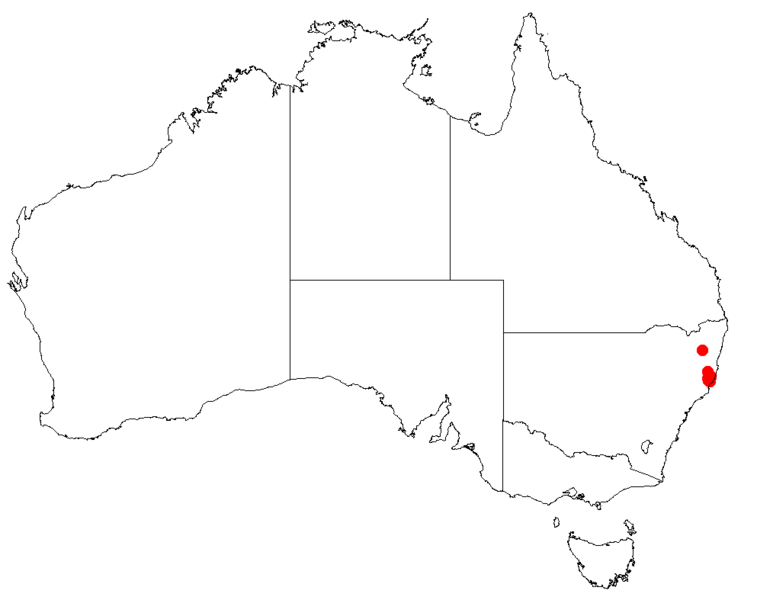 Файл:Hakea archaeoidesDistMap9.png