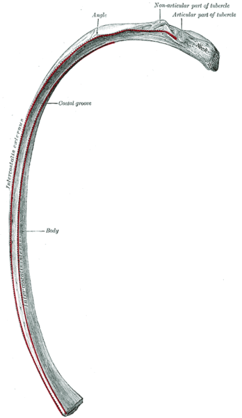 Файл:Image122.gif