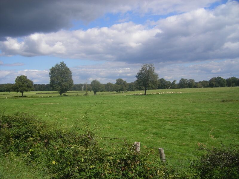 Файл:FR-03-Landscape.JPG