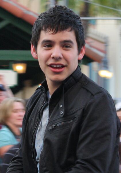 Файл:David Archuleta in parade.jpg