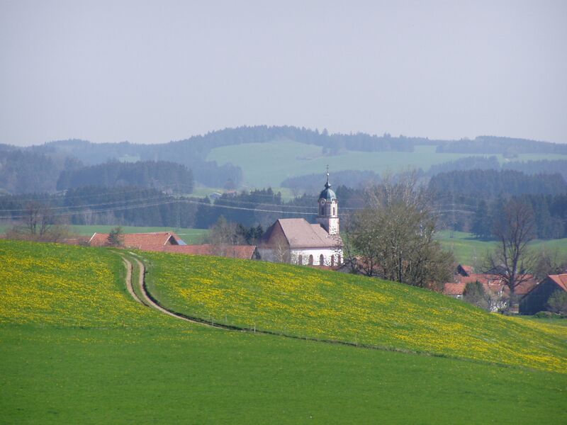Файл:Ingenried, WM v SW, Löwenzahn.JPG