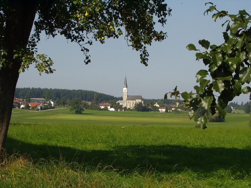 Файл:Haigermoos.jpg