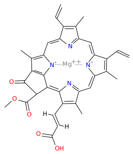 Файл:Chlorophyll c2.svg