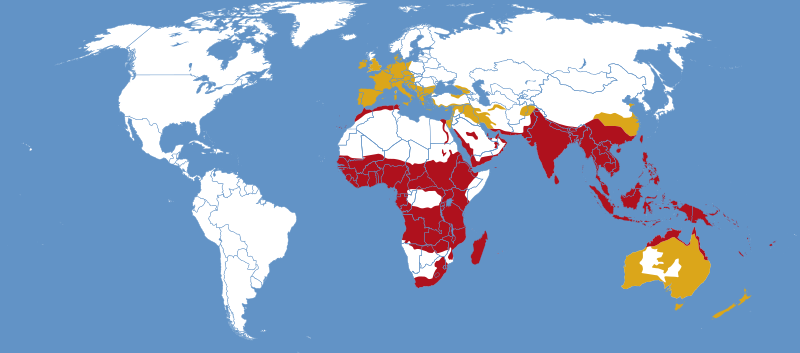 Файл:Hippotion celerio distribution map.svg