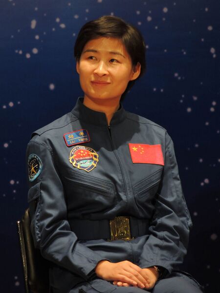 Файл:LIU Yang CUHK 2012.JPG