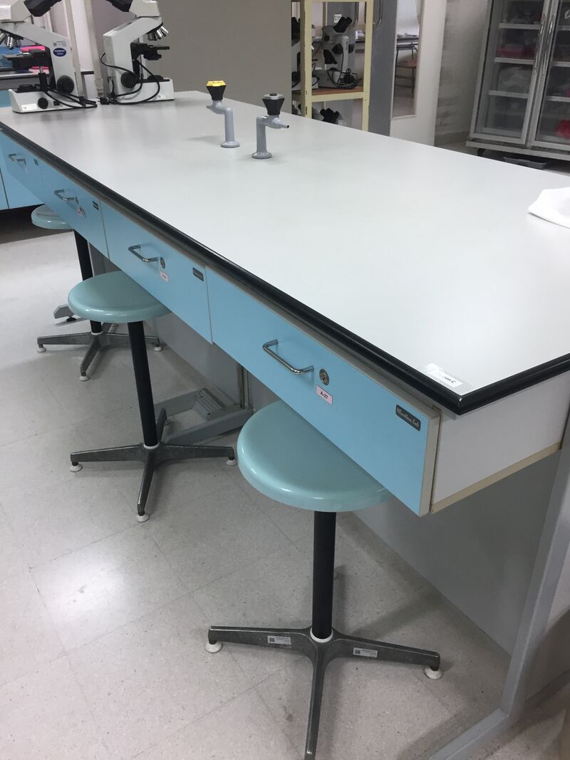 Файл:Lab desk.jpg
