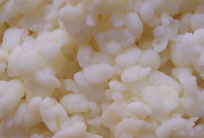 Файл:Lactobacillus bulgaricus.jpeg