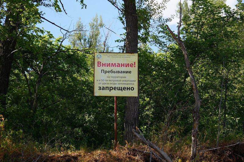 Файл:Seredysh.JPG