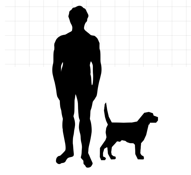 Файл:ComparaisonBeagle.svg