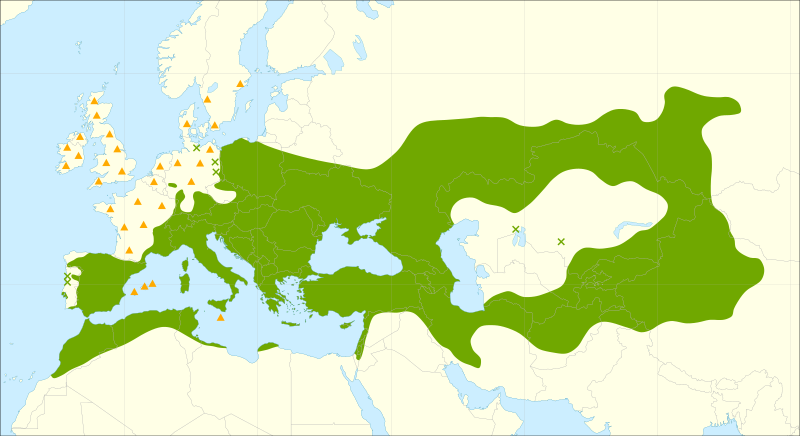 Файл:Populus alba range.svg