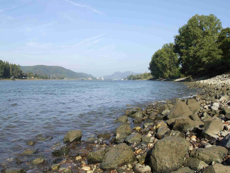Файл:Rhein Unkel.jpg