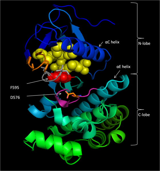 Файл:BRAF Kinase Inactive.png