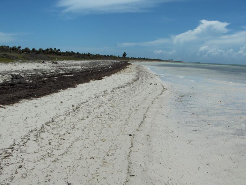 Файл:Beach 9.JPG