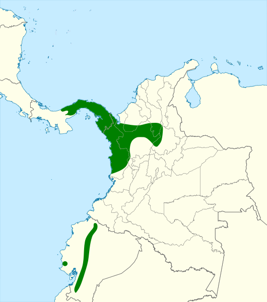 Файл:Megascops centralis map.svg