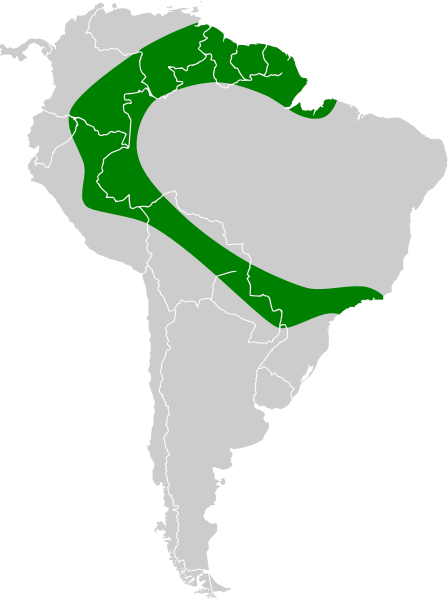 Файл:Molossops neglectus map.svg