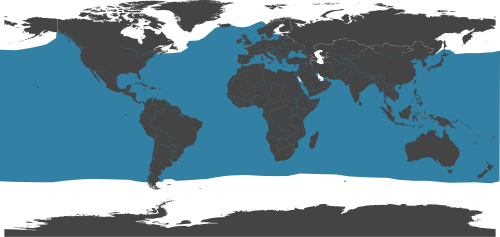 Файл:World distribution Swordfish.svg