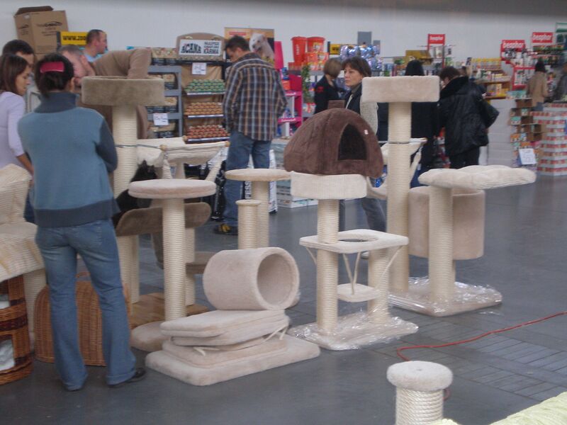 Файл:MTP Cat Show 2230206.JPG