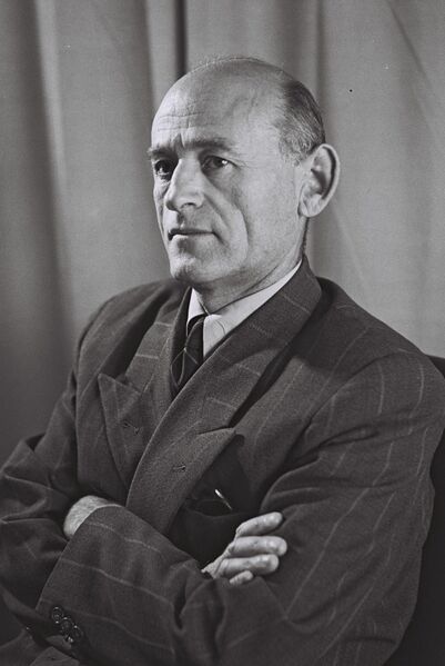 Файл:Meir Argov.jpeg