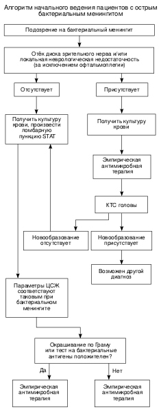 Файл:MeningitisAlgorithm ru.svg