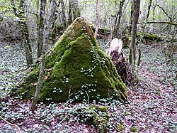 Мегалит Куту