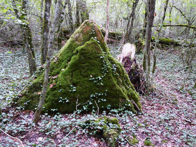 Файл:Valeuil mégalithe.JPG