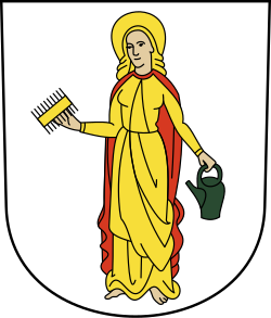 Файл:CHE Stäfa COA.svg