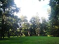 Деревенский парк