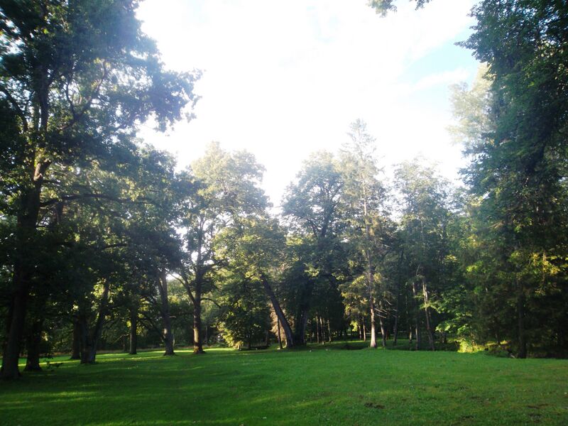 Файл:Sutlema park.JPG