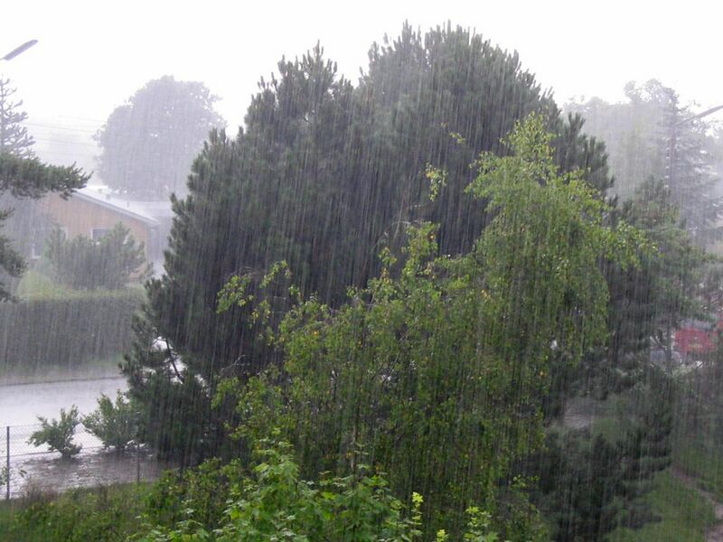 Файл:22 Regen ubt.jpeg