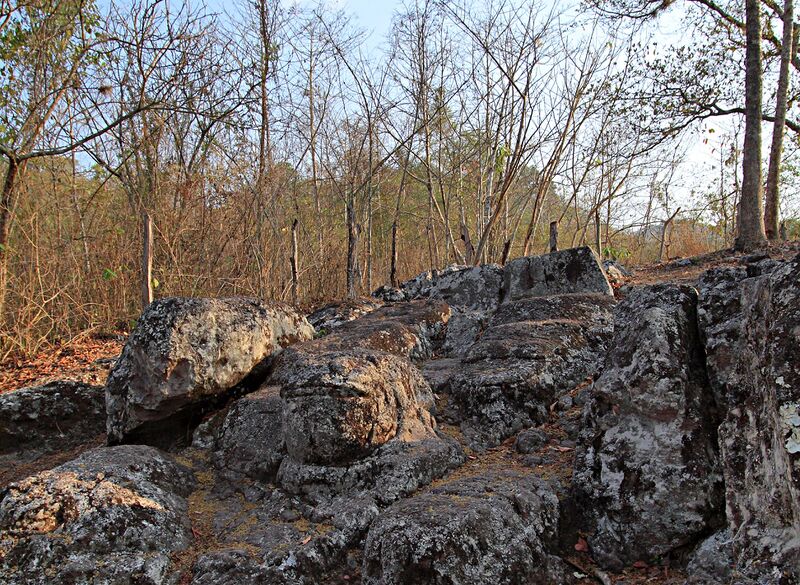 Файл:CPN SAPOS.jpg