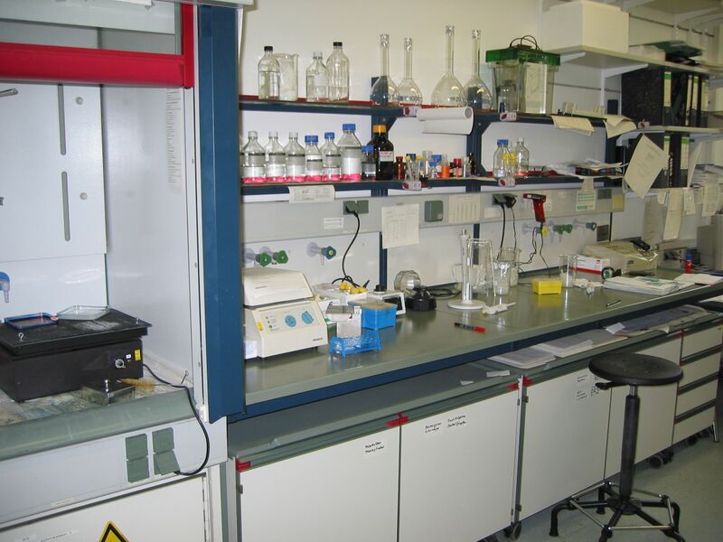 Файл:Lab bench.jpg