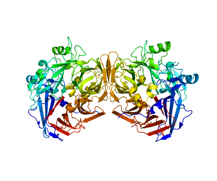 Файл:Protein RPE65 PDB 3FSN.png