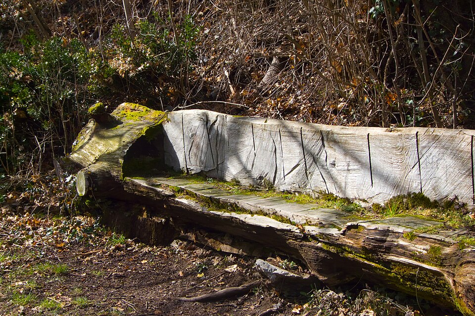 Файл:Tree bench by Matthieu Riegler.jpg