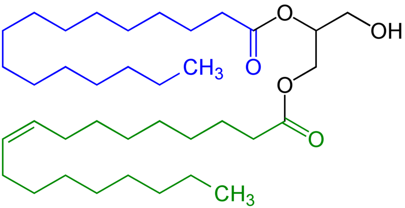 Файл:Diglyceride Structural Formula V.1.png