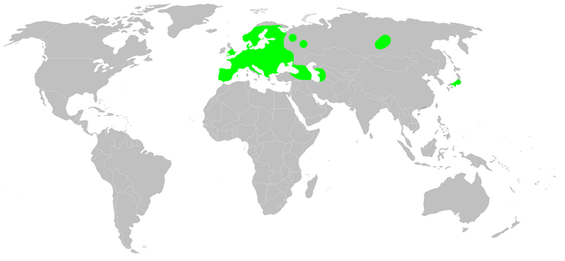 Файл:Distribution.diaea.dorsata.1.png