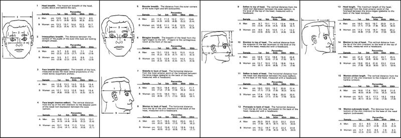 Файл:HeadAnthropometry.JPG