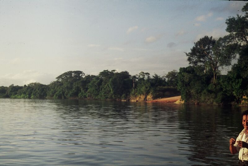 Файл:Río Caura.jpg