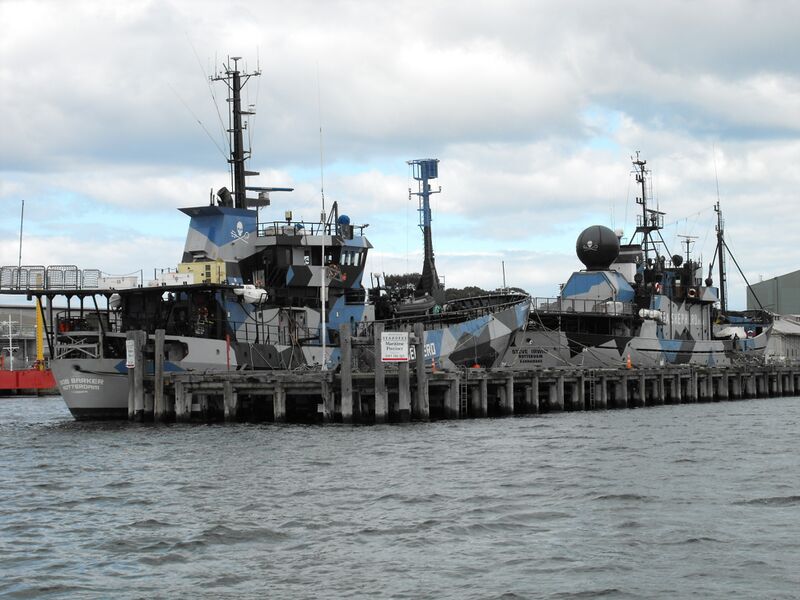 Файл:Sea Shepherd Ships Seaworks.JPG