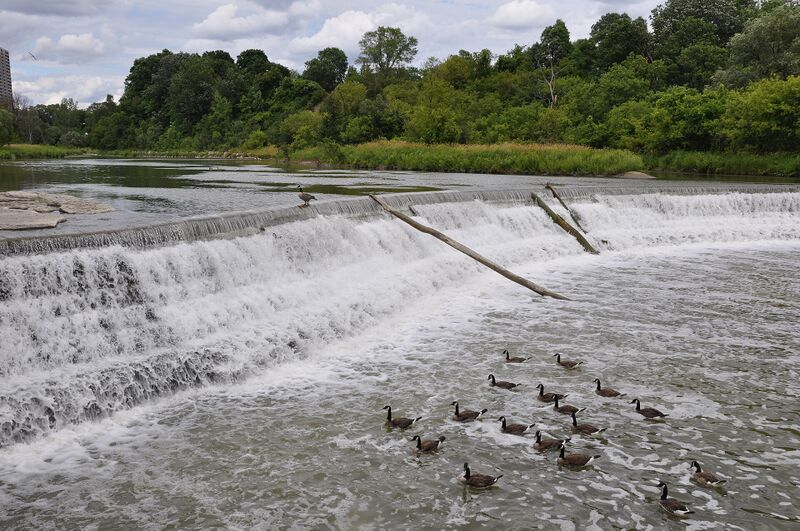 Файл:Humber Weir.JPG