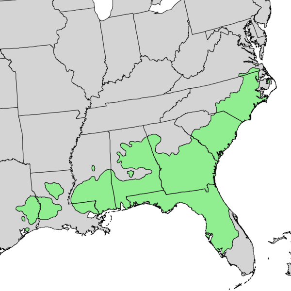Файл:Pinus palustris range map.png